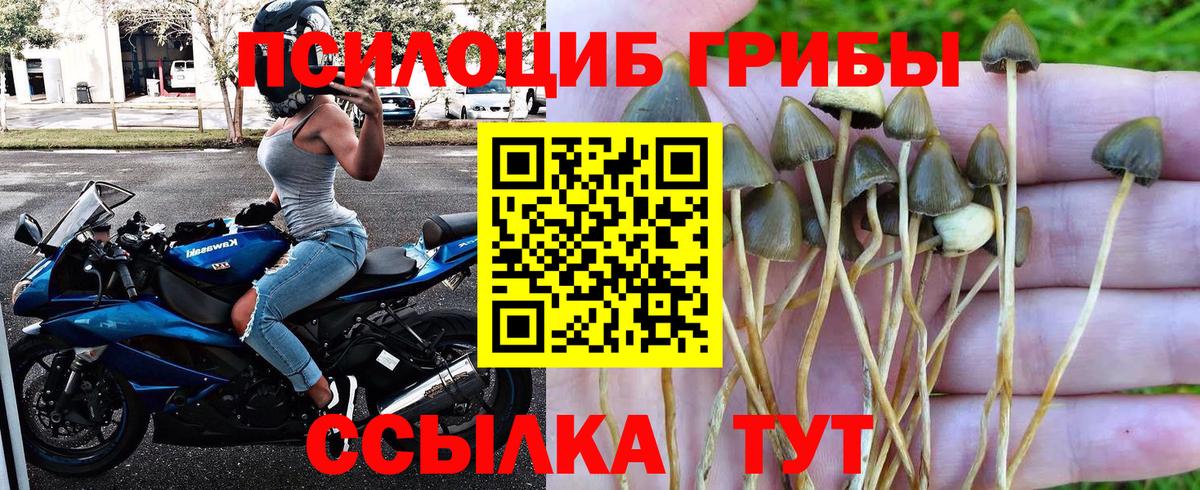 Псилоцибиновые грибы MAGIC MUSHROOMS  Галлюциногенные грибы мицелий  Ачхой-Мартан 
