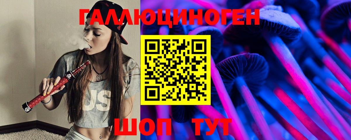 Псилоцибиновые грибы Psilocybine cubensis Ачхой-Мартан