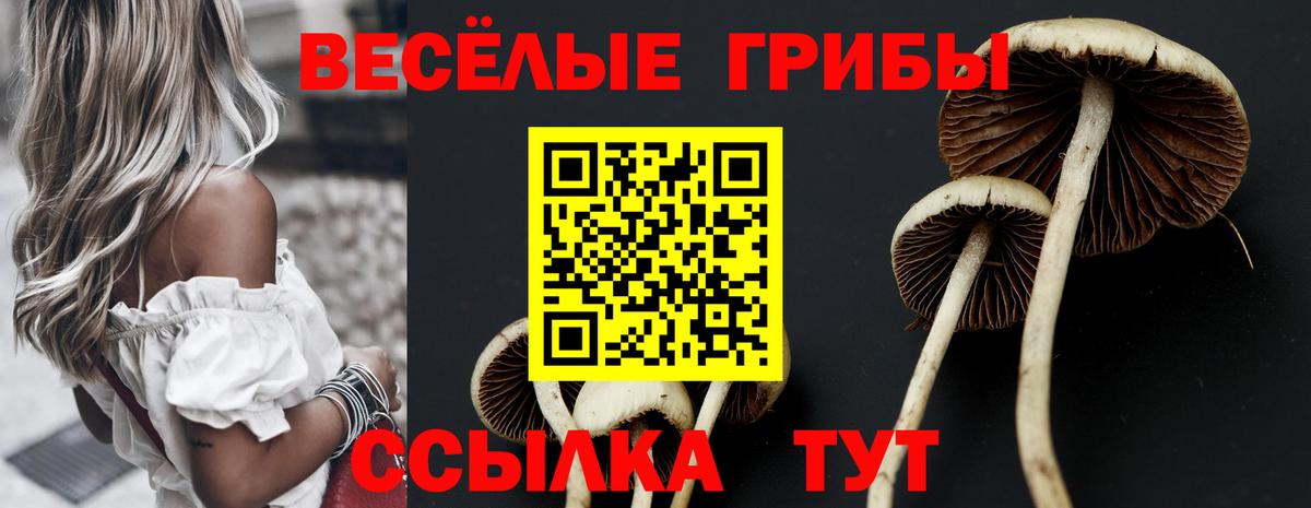 Галлюциногенные грибы прущие грибы  Вход с VPN  Ачхой-Мартан 